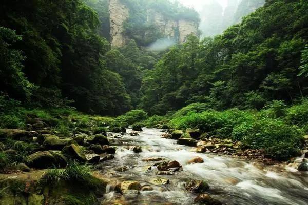 离离原上草，一岁一枯荣，离离是什么意思，有多少人被问蒙圈了？